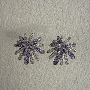 Women’s purple and silver firework shaped Earrings